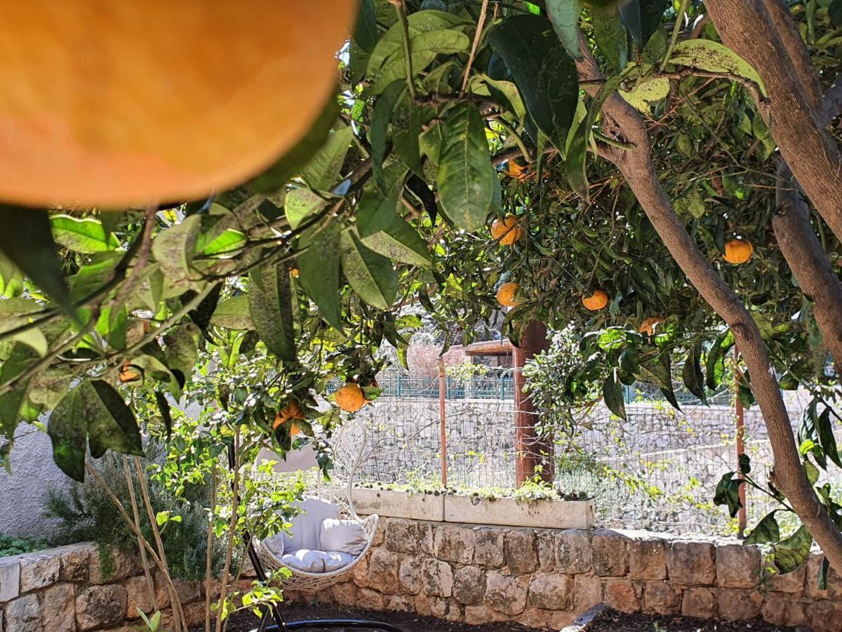 דוברובניק Barbara'S Garden Apartment מראה חיצוני תמונה